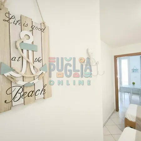 Cinciallegra Puglia On Line *