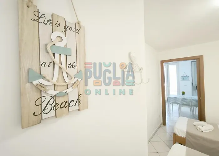 Cinciallegra Puglia On Line *