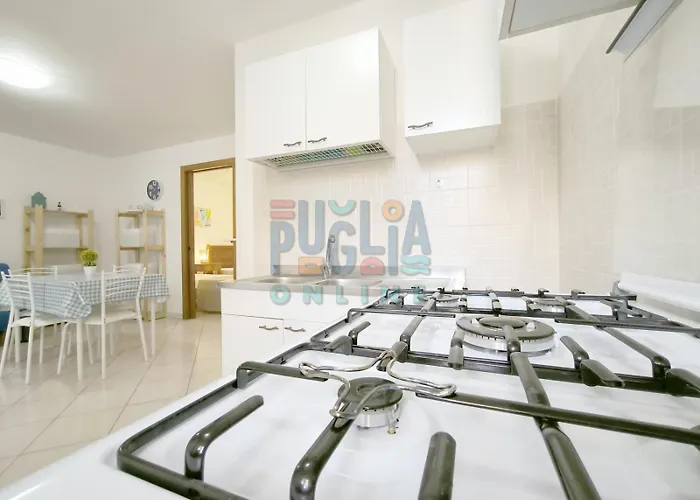 Cinciallegra Puglia On Line *