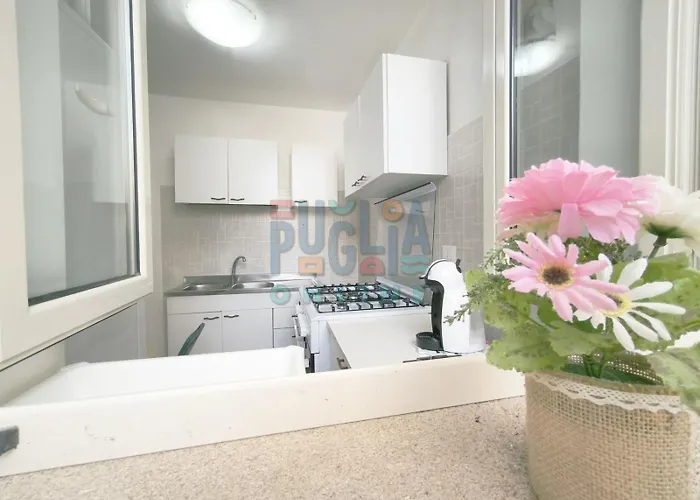 Cinciallegra Puglia On Line