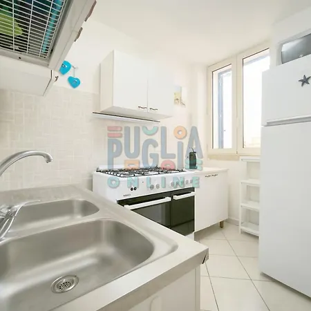 Cinciallegra Puglia On Line *