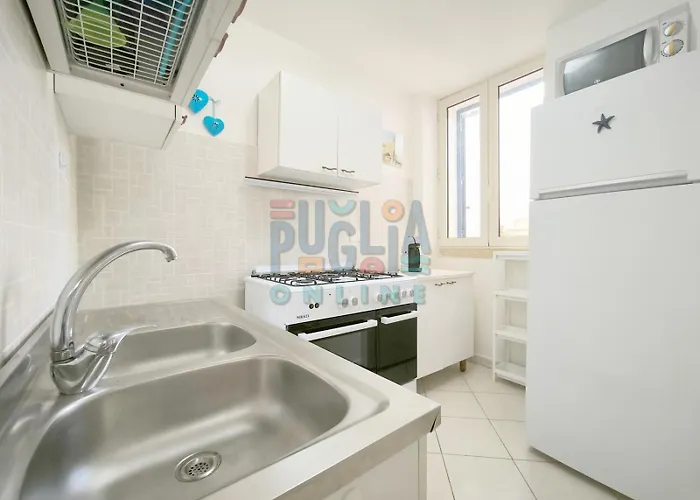 Cinciallegra Puglia On Line *